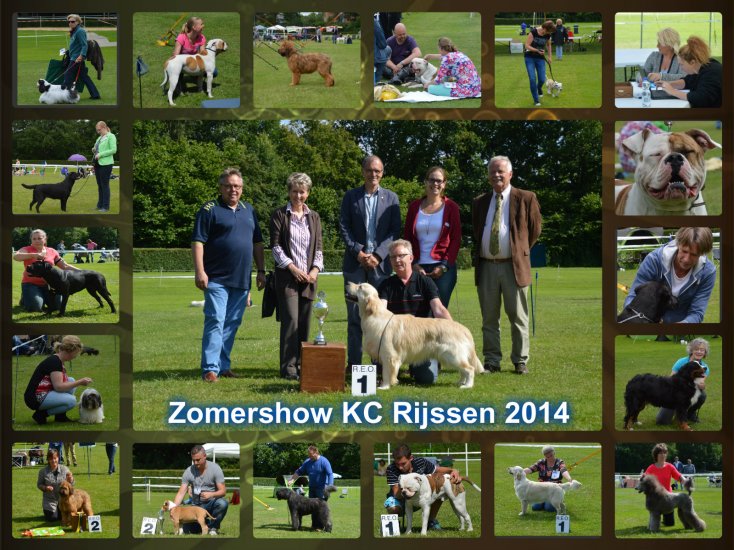 Collage zomershow 2014