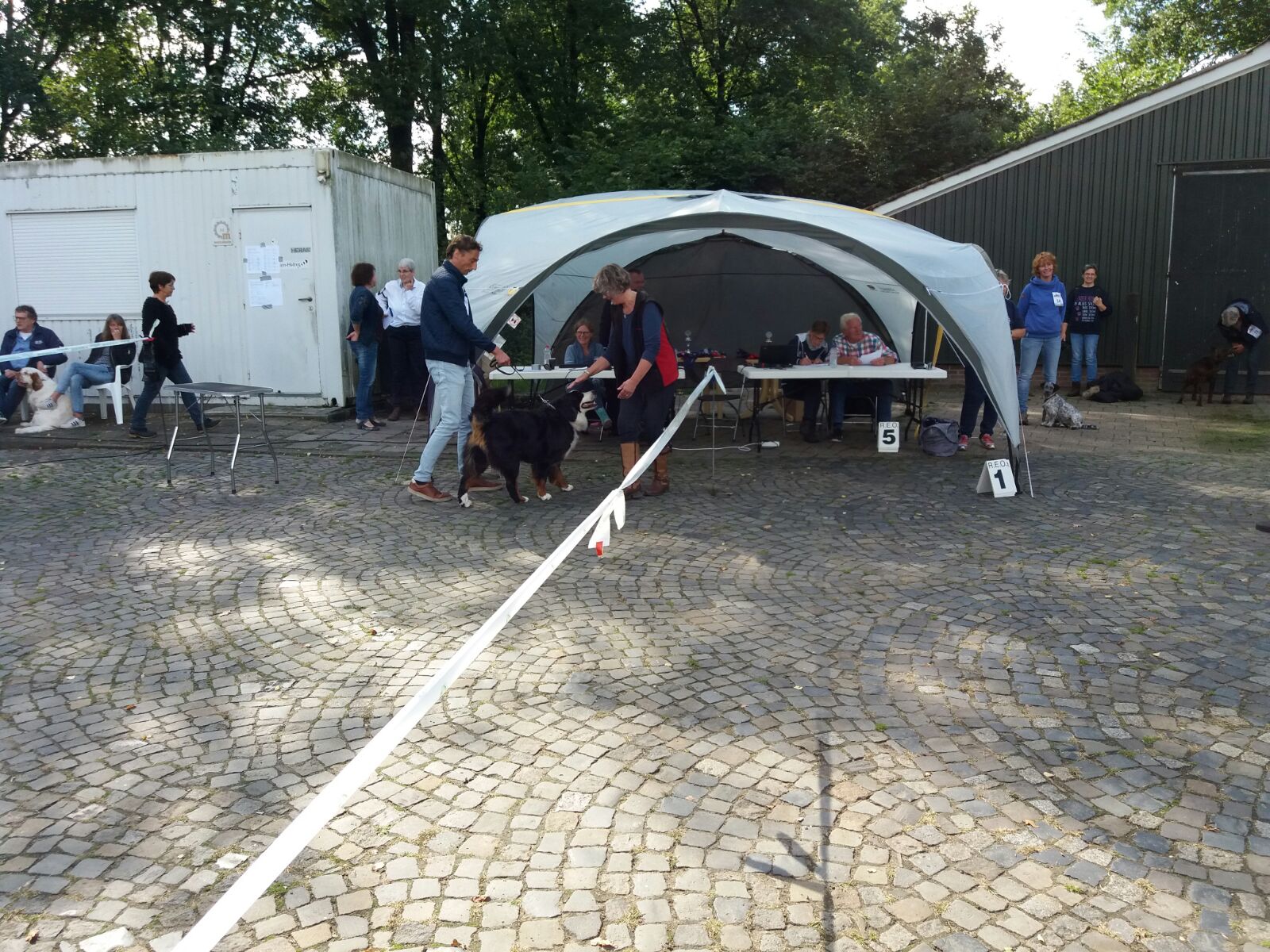 slide zomershow (18)