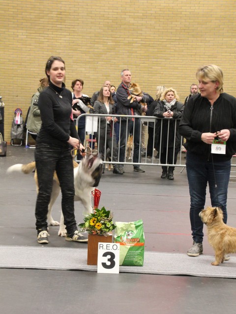 Clubmatch 2018_00338