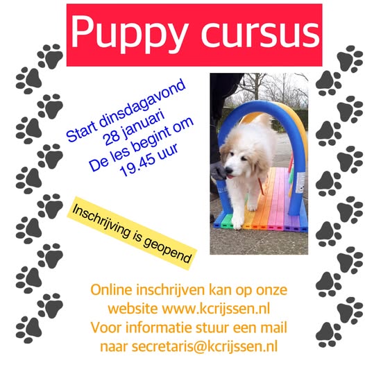 Puppy cursus februari 2025